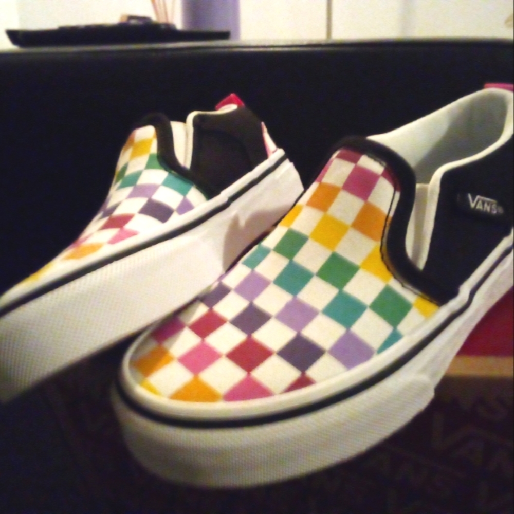 Vans slip on shoes